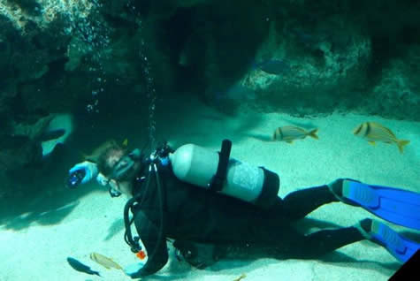 Baltimore Aquarium Dive 2014 #4